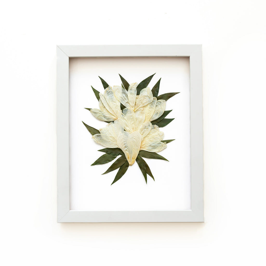 white small flowers preserved in a frame and pressed