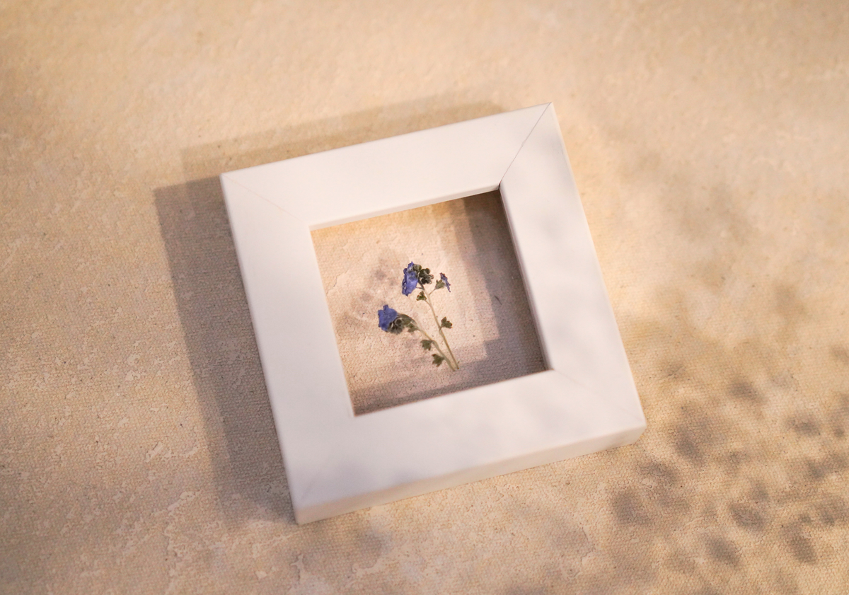 Mini Forget-Me-Not Frame