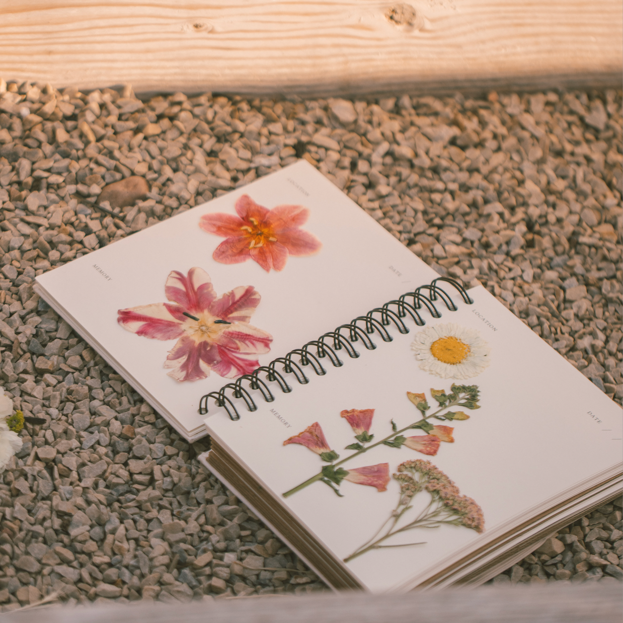 Tan Pressed Floral Journal