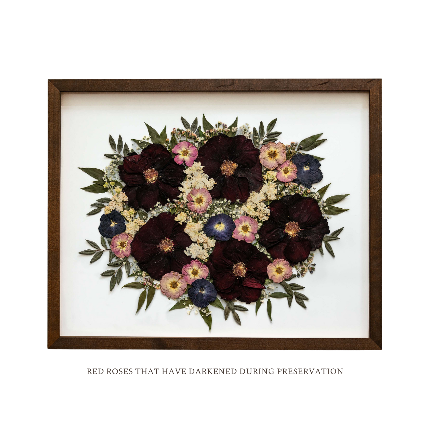 Dried Flowers Atlanta - Pressed Floral™
