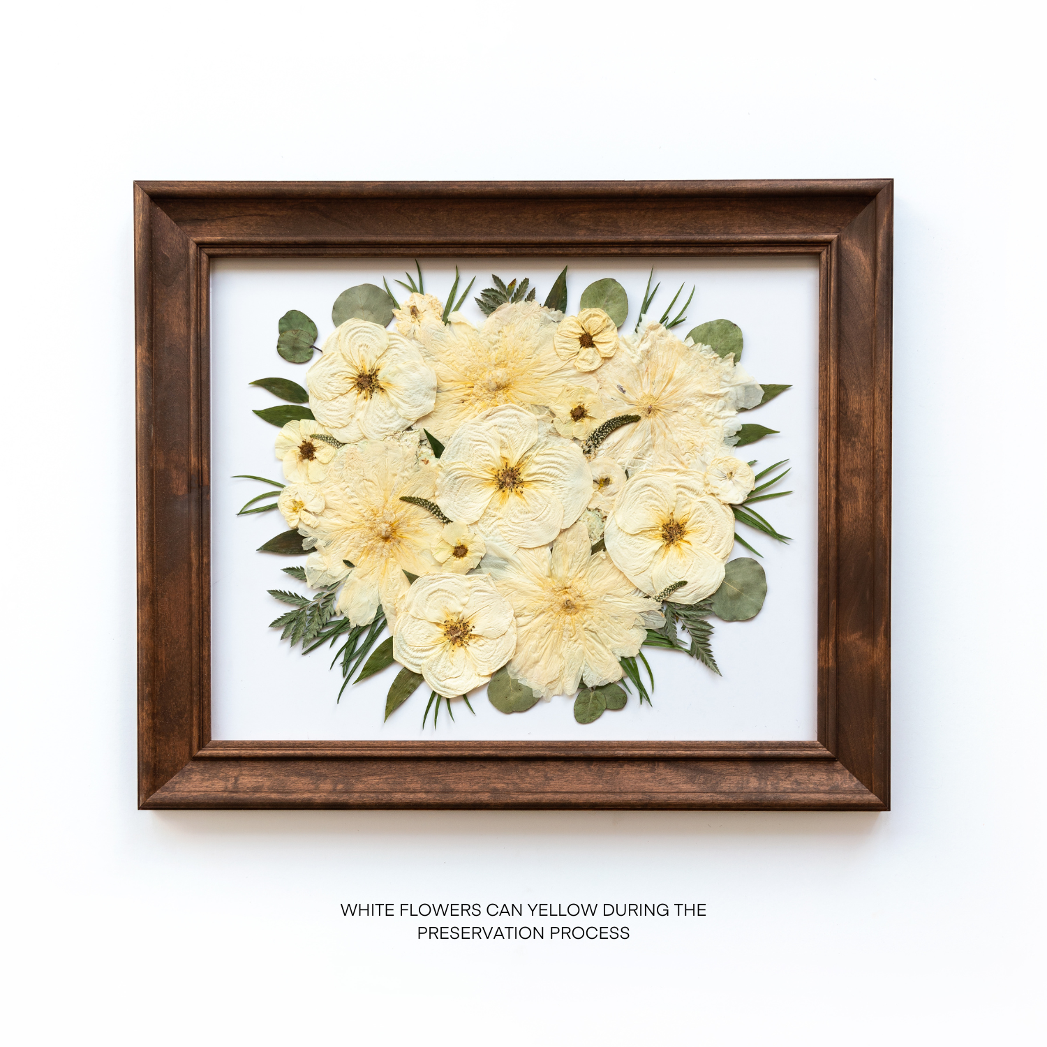 WHITE FLOWERS PRESERVED IN A FRAME TO LAST FOREVER 
