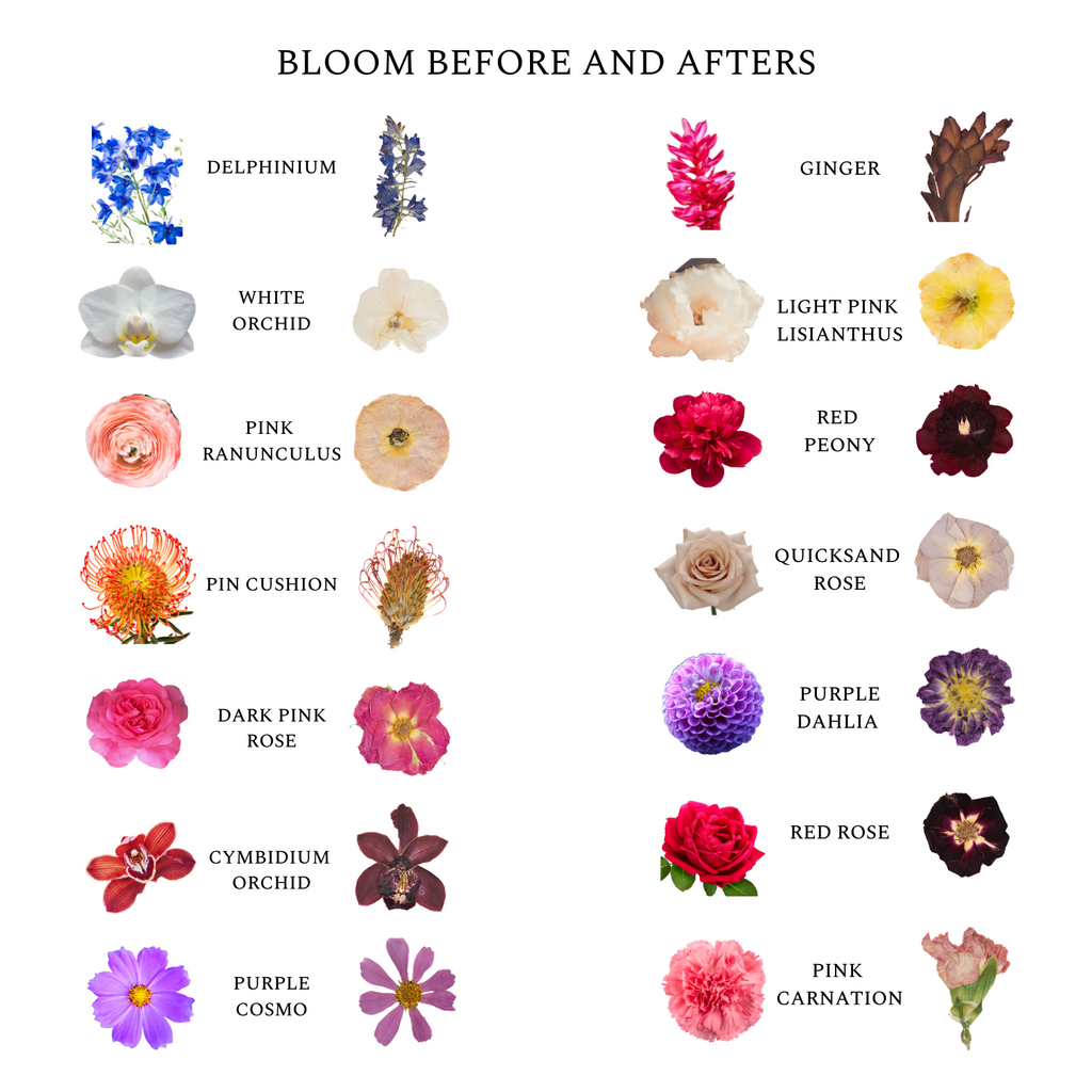 Before and after flower pressed examples