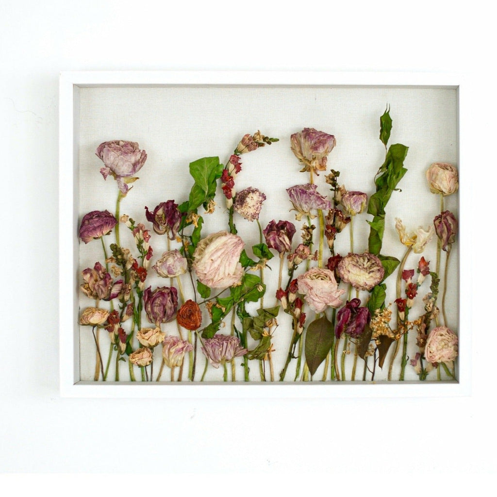 Natures Treasures Preserved: A Collection of Pressed Blooms - Pressed Dried  flowers on white background Poster for Sale by EmeraldeaArt