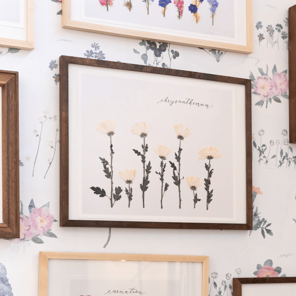 Chrysanthemum Prints